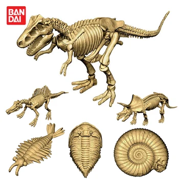 BANDAI Гачапон Kapsułka Zabawka Гача Wydobyć Kości Dinozaurów Skamieniałości Dinozaura Model Zabawki  10