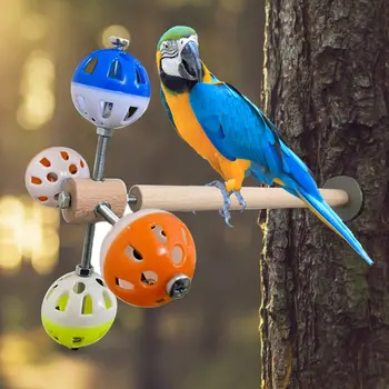 Kulki Dla Papug, Zabawki, Kolorowe Pusty Dzwon, Zabawki Do Klatki Dla Ptaków-Papugi, Kolorowe Puste Piłki, Zabawki Dla Ptaków Domowych, Szkolenia Dzwon, Piłka  5